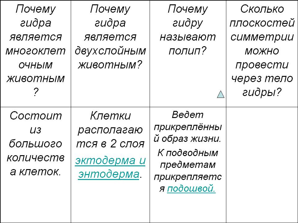 Зарегистрироваться на сайте кракен