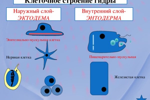 Кракен нов
