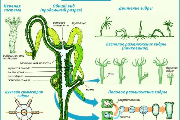 Кракен сайт krknwebs