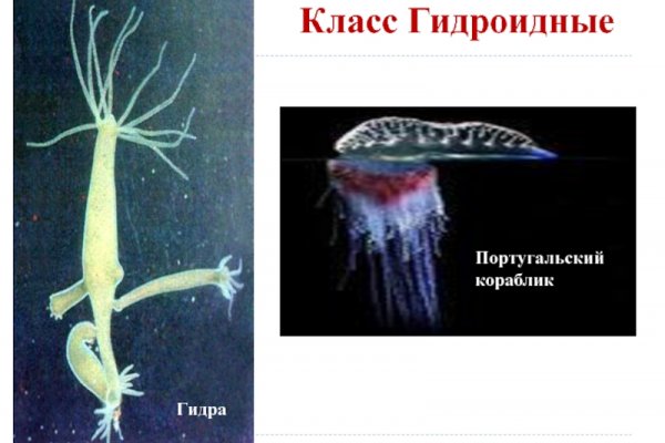 Ссылки на сайты даркнета
