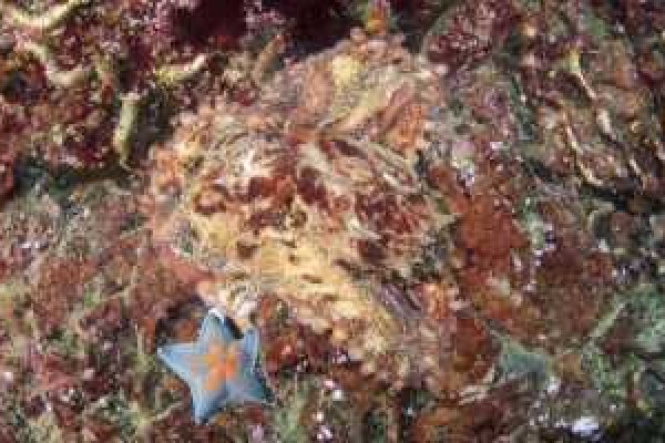 Kraken пользователь не найден при входе