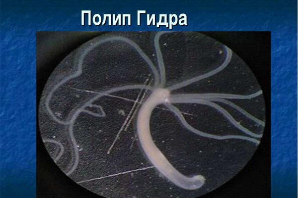 Кракен даркен