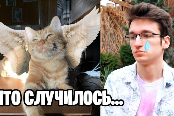 Официальная ссылка на кракен в тор