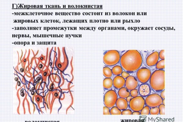 Ссылка на кракен тор kraken2 4aa337