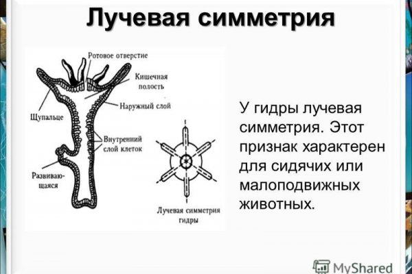 Как выводить деньги с кракена