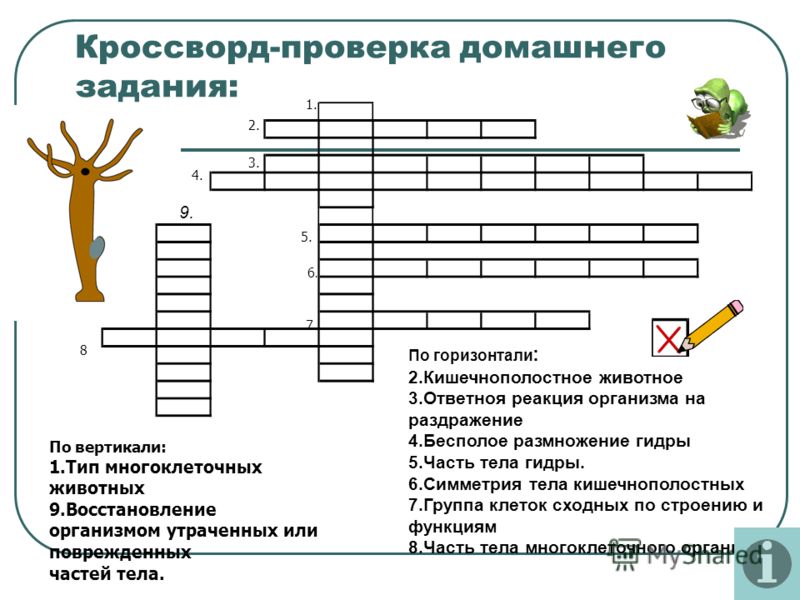 Какой нужен тор чтоб зайти в кракен